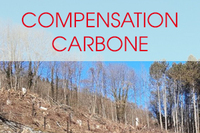 compensation-carbone-2