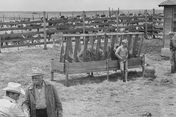 Plus-sauvage-dentre-tous_Le-Coll-IL-Pierre-Billard-c-Paramount