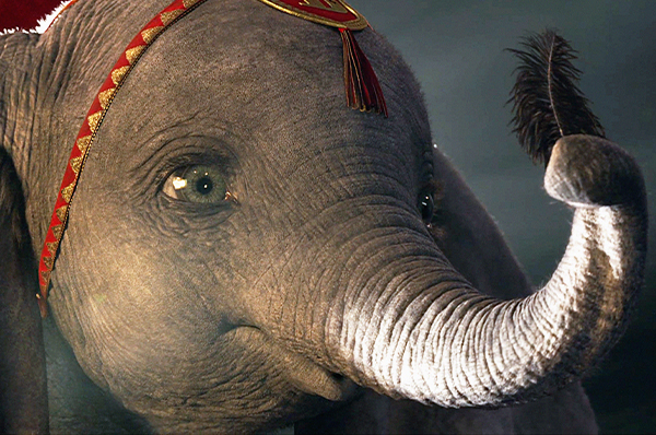 Burton-Dumbo