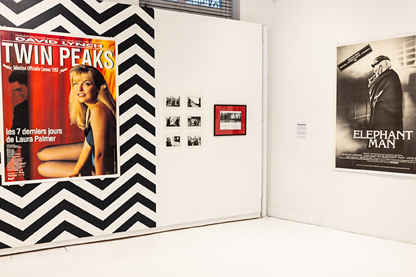 EXPO-LYNCH-Lea-Rener-actu